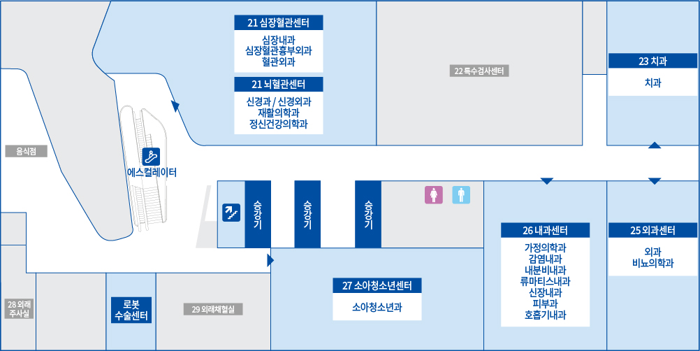 뇌혈관센터