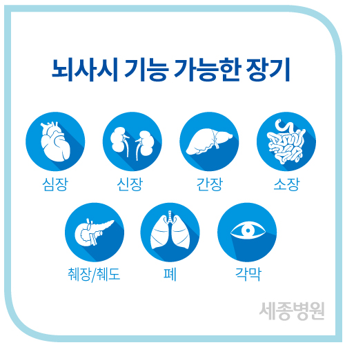 뇌사시기증장기.jpg