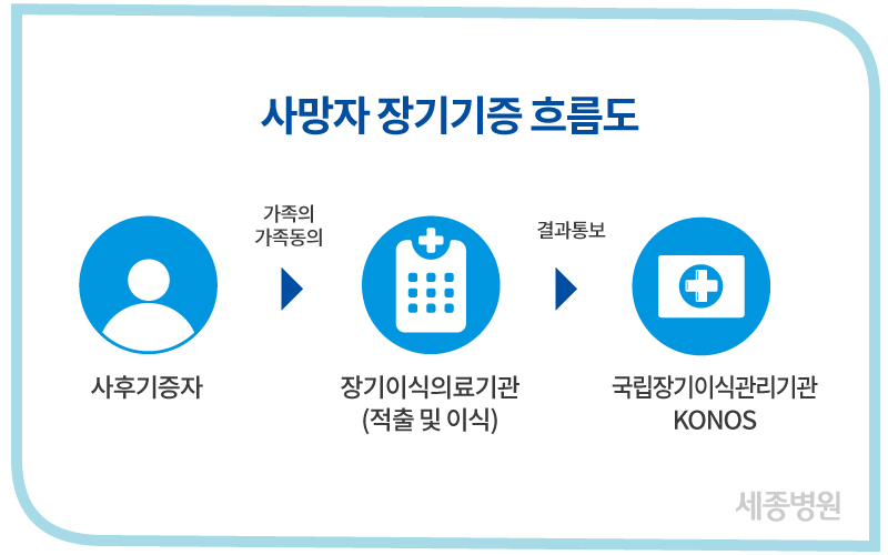 사망자장기기증흐름도.jpg