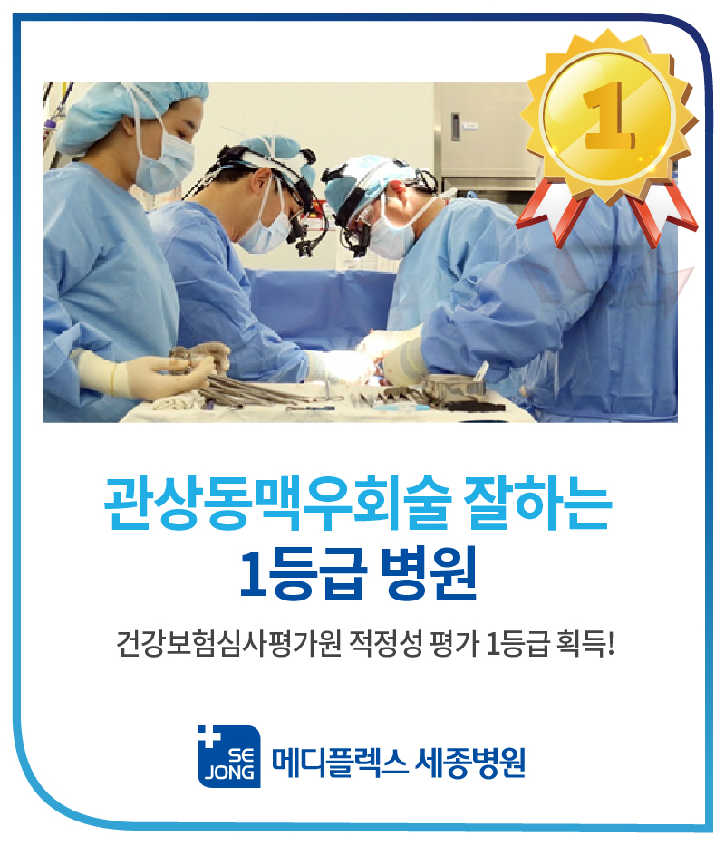 메디뇌동맥류1등급.jpg