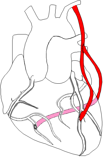 4f3c3fa1bbbb255b34856e4bc755ecd4_1744770982_4219.png