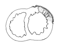 4f3c3fa1bbbb255b34856e4bc755ecd4_1744771155_3431.png