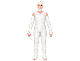 전신화상